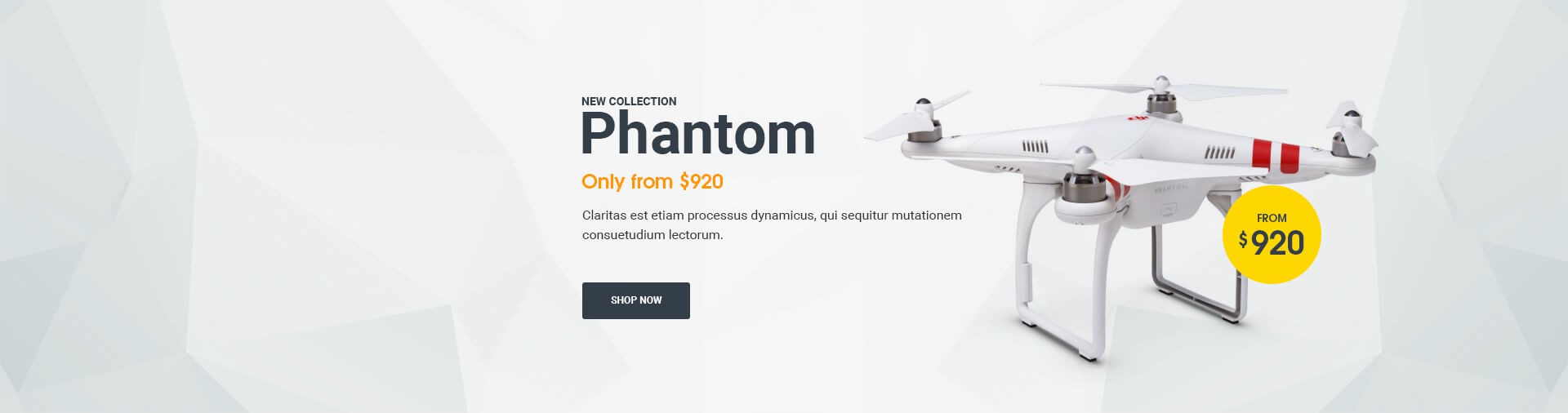 Home page slider